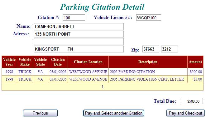 Pay Parking Citation