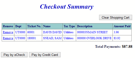 pay by credit card example