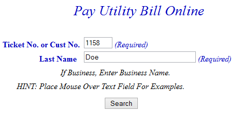 enter customer number and last name example